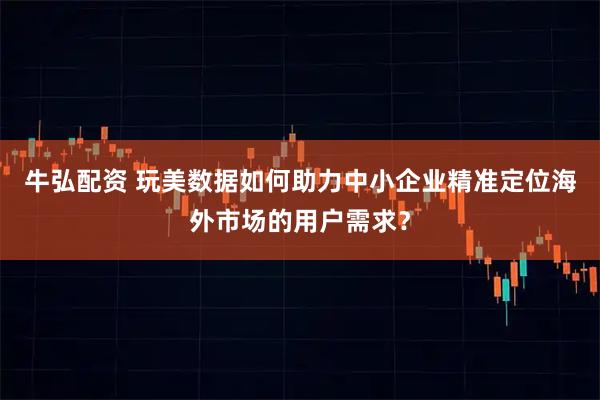 牛弘配资 玩美数据如何助力中小企业精准定位海外市场的用户需求？